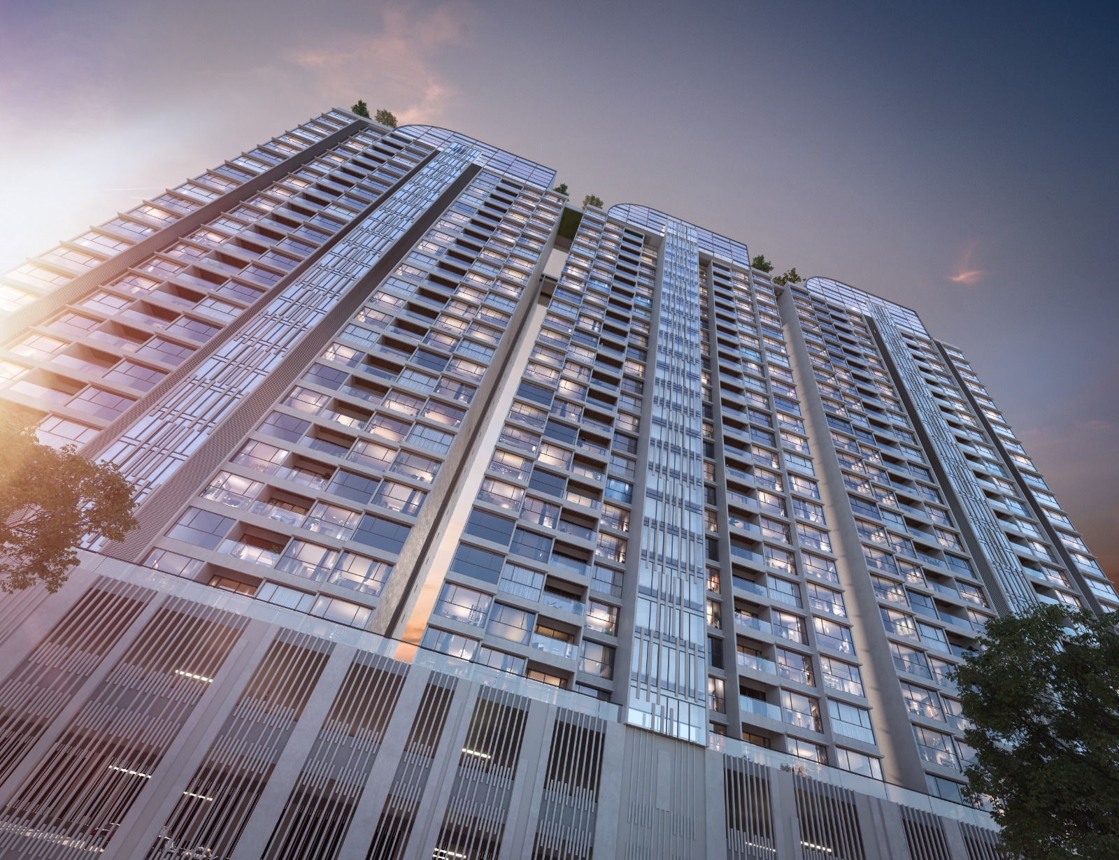 WhatsApp Image 2026 02 20 At 1.19.06 PM 1